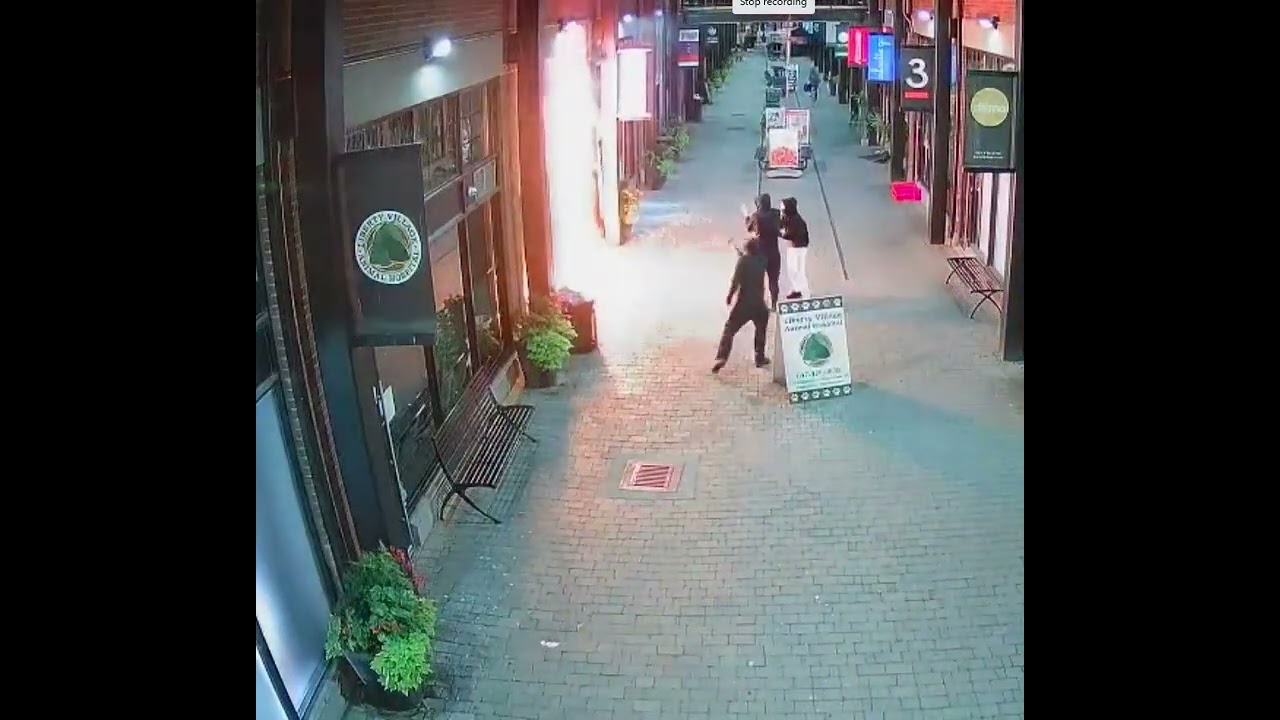 Suspects Sought in Arson Investigation