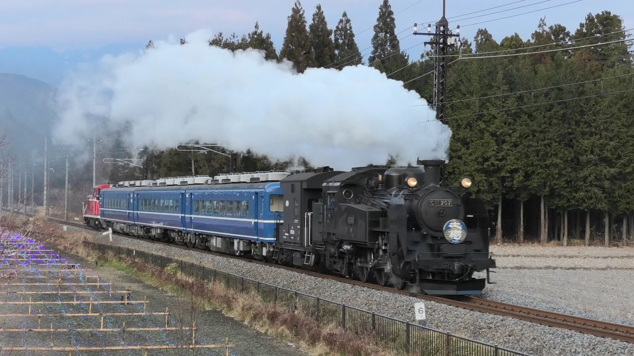 東武鉄道 C11-207+14系+DE10-1099 SL大樹6号 下今市行 大谷向～大桑通過【4K】