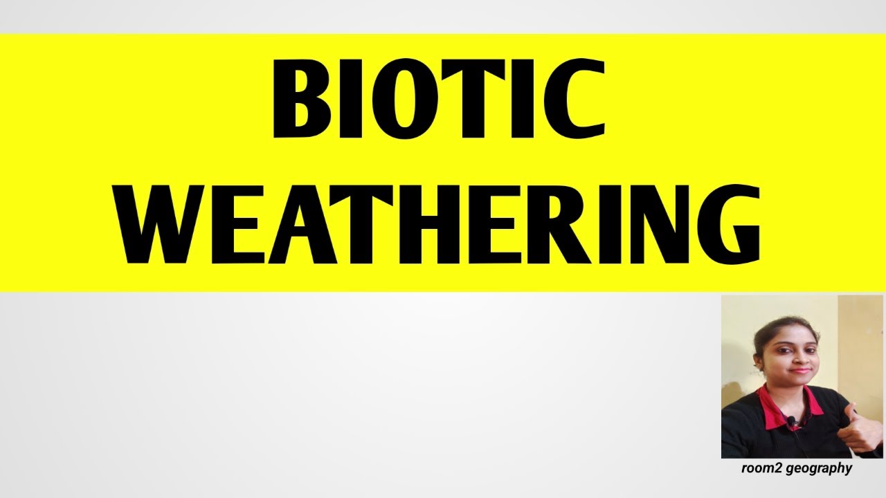 Biotic Weathering: Floral:Faunal:Anthropogenic :Types of weathering: room2 geography