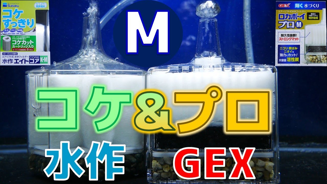 【投げ込み式フィルター】苔に特化した水作と、マットと活性炭を分離させ弱点を克服したGEX。どっちが好き？水作エイトコアK-M、GEXロカボーイプロM【ふぶきテトラ】
