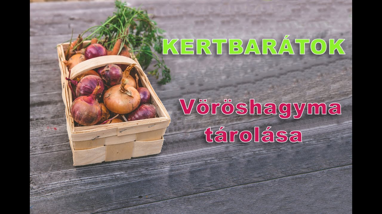 Kertbarátok - A vöröshagyma tárolása