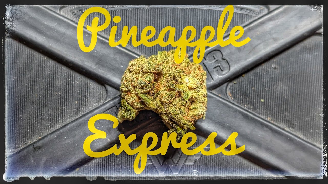 Strain Review - Pineapple Express - Potluck