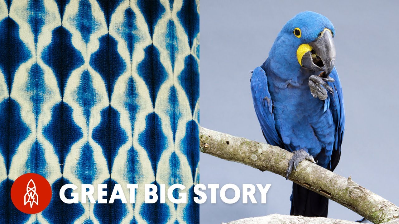 A Celebration of Blue