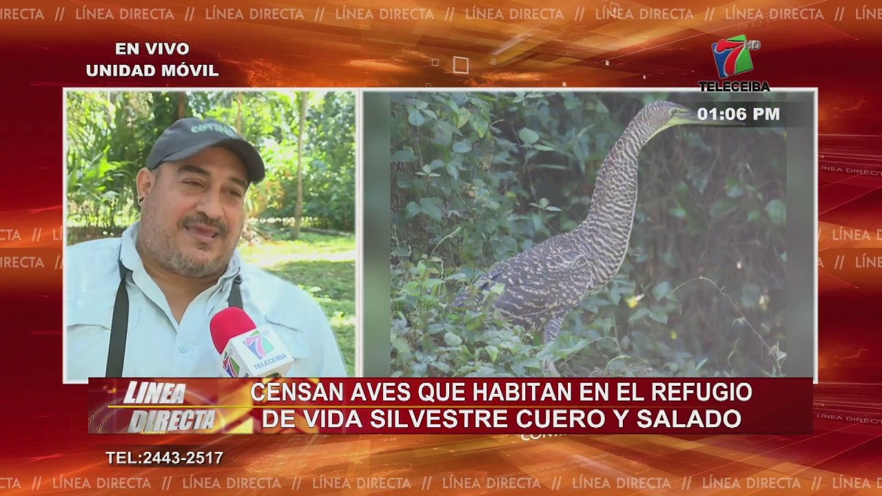 Censan aves que habitan en el Refugio de Vida Silvestre Cuero y Salado