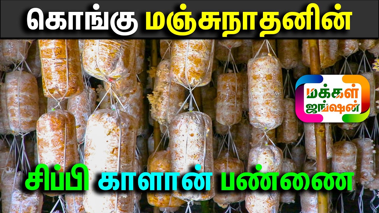 சிப்பி காளான் வளர்ப்பில் அசத்தும் பட்டிமன்ற பேச்சாளர் கொங்கு மஞ்சுநாதன், #kongumanjunathan PART 1