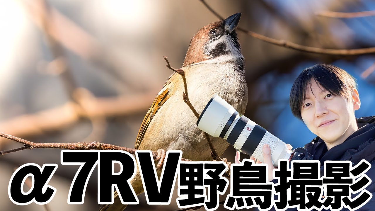 a7RVで野鳥撮影