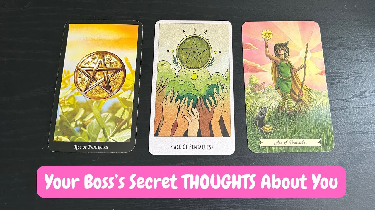 What is Your BOSS’S Current THOUGHTS About YOU 🗯️ Pick a Card Timeless Tarot Love Reading ✨