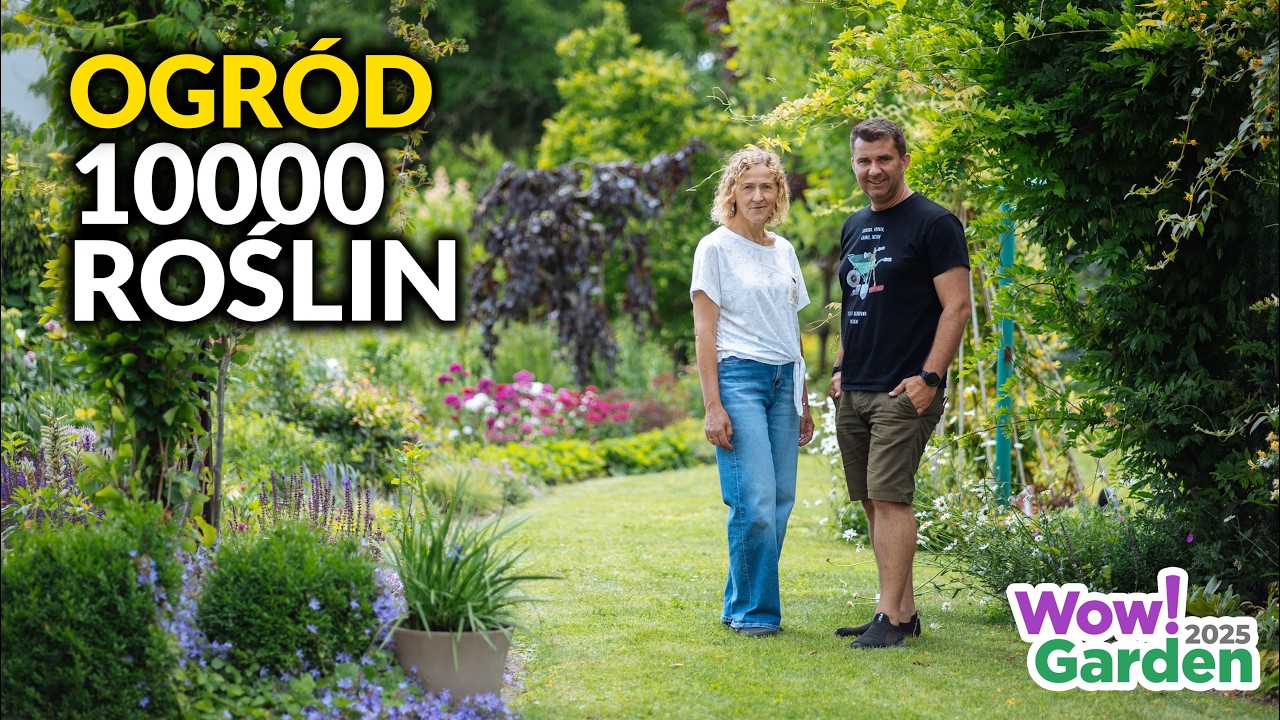 Ogród 10 000 roślin! 🌿Ogromny bylinowy raj z niesamowitą architekturą | Wow!Garden