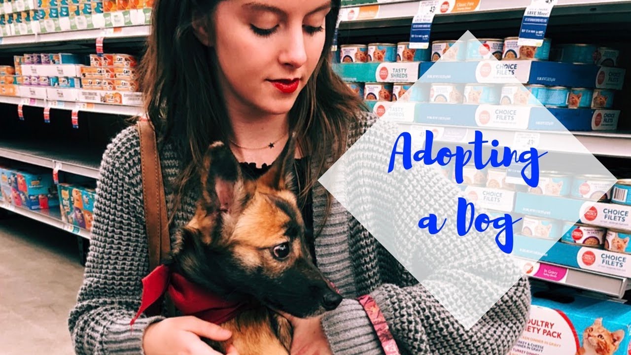 Getting my first dog! | Adopting a dog from a Pet smart event