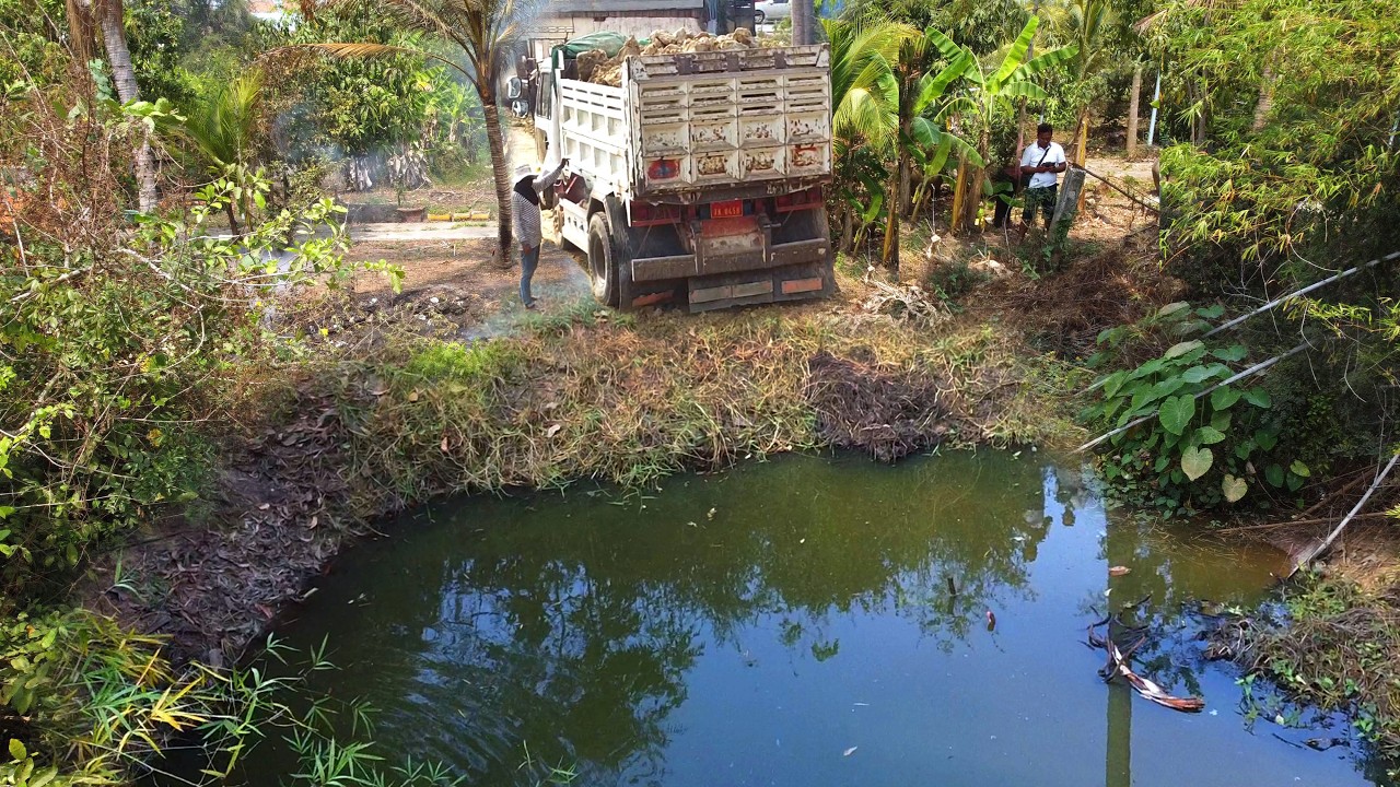 First Start New PROJECT!! Landfill Delete Tree Trash in Deep Pond Use Strong Bulldozer & 5Ton Truck.
