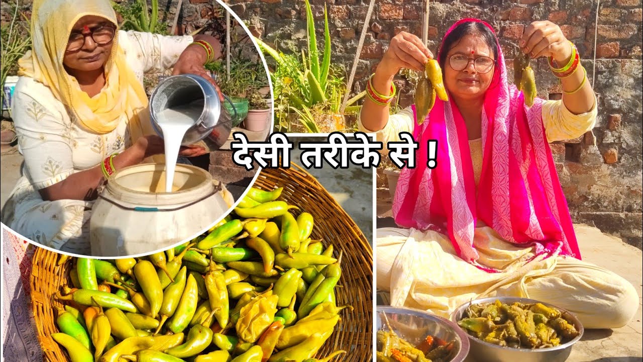 गांव के देसी तरीके से मट्ठे की मिर्च का अचार बनाना सीखें |