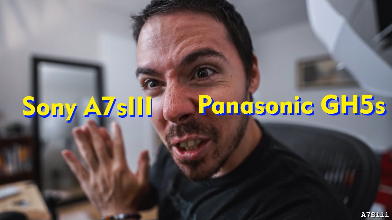 Sony A7S III vs Panasonic GH5s