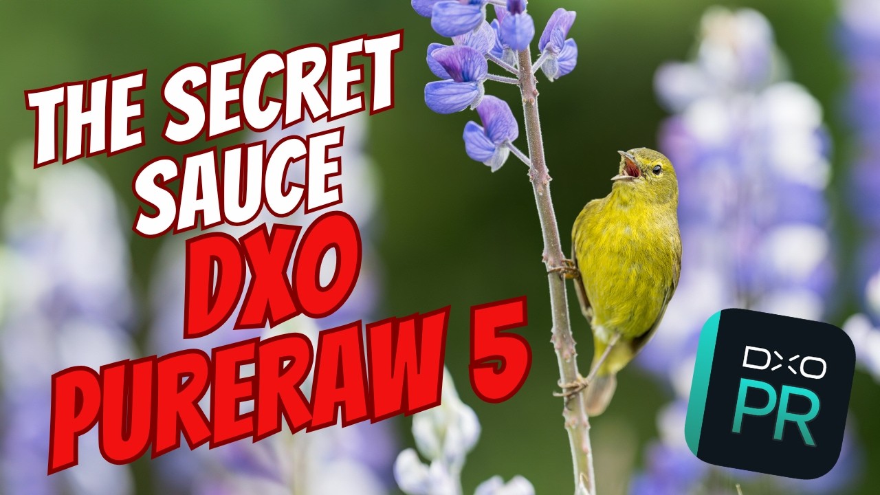 Master Your Photo Editing - What's the Secret Sauce? (My Complete Process) - Featuring DXO PureRaw