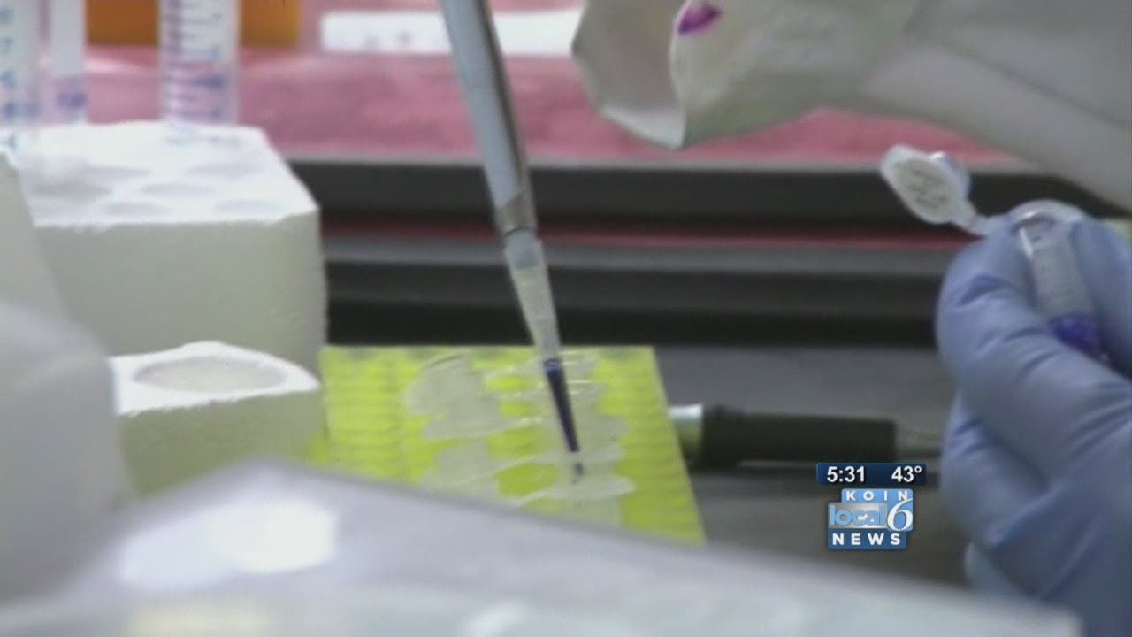 Grandma: Ill boy not tested for H1N1
