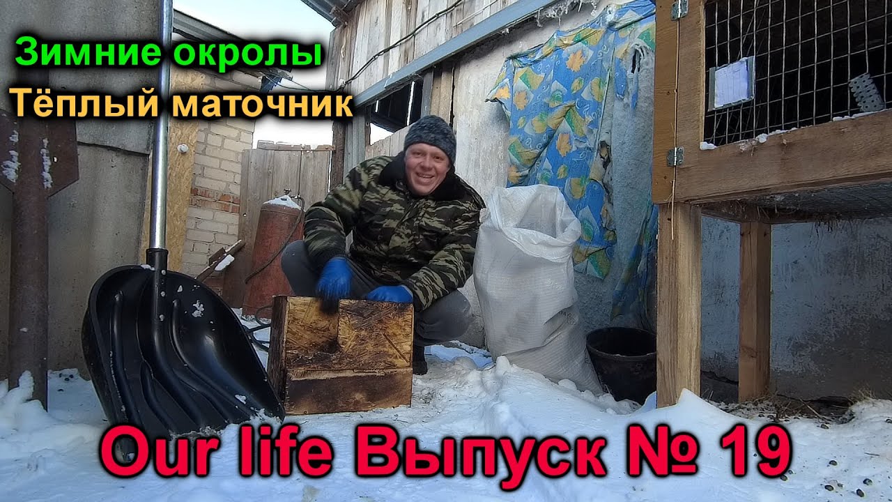 Зимние окролы! Как сохранить крольчат? Our life выпуск № 19