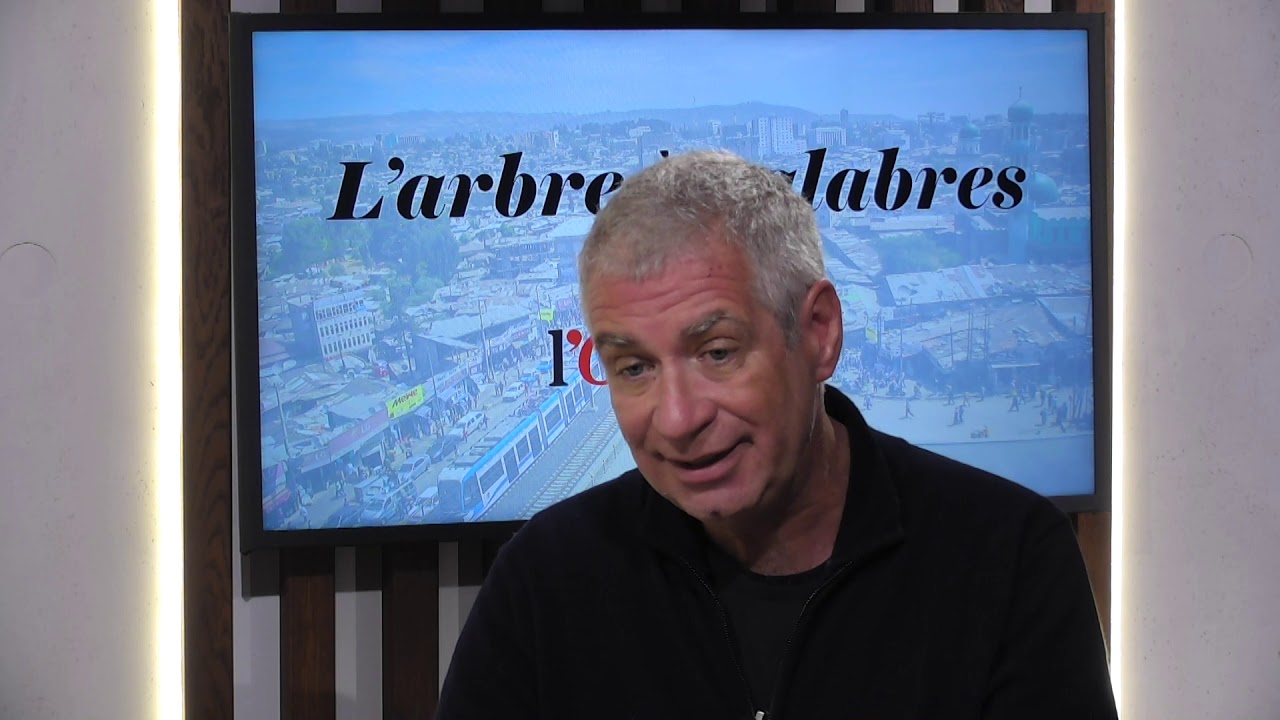 «La DGSE reste un leader du renseignement en Afrique», estime Vincent Crouzet (ancien collaborateur)
