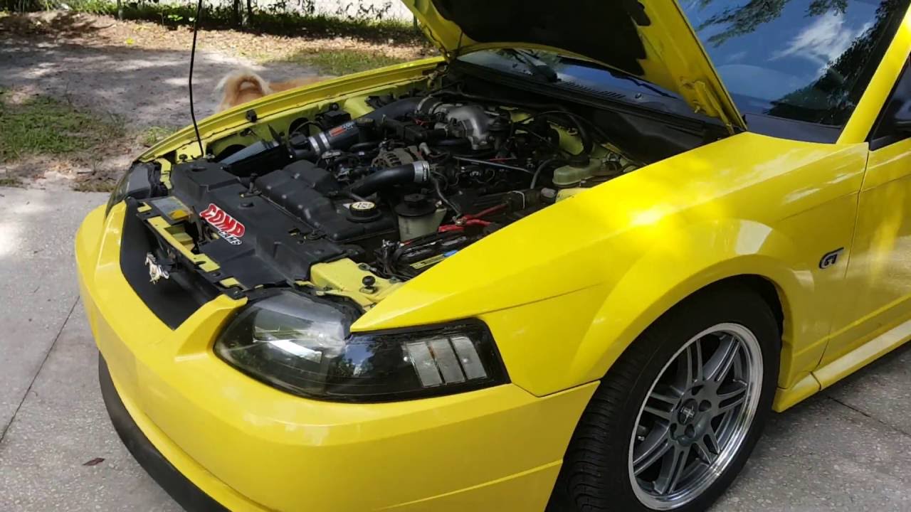 99-04 New Edge Mustang GT review and why you should buy one 00 01 02 03