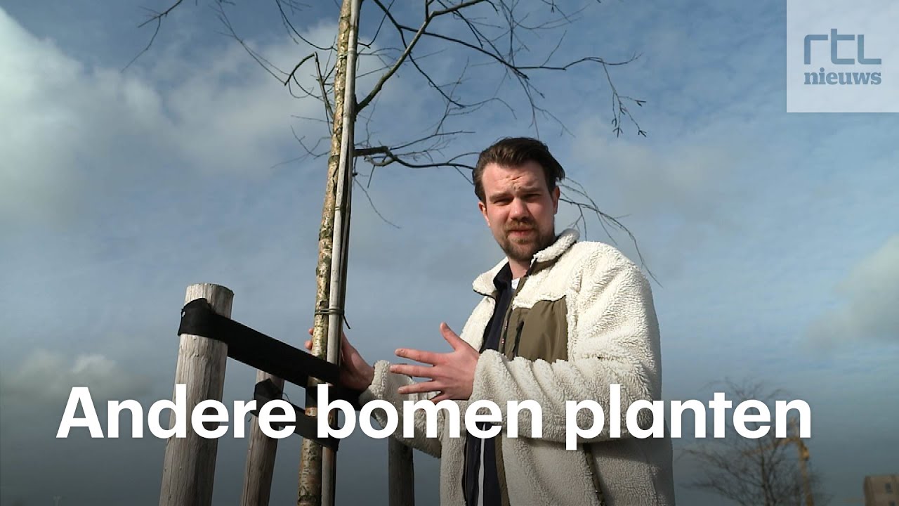 Last van hooikoorts? Minder klachten als gemeenten hierop letten