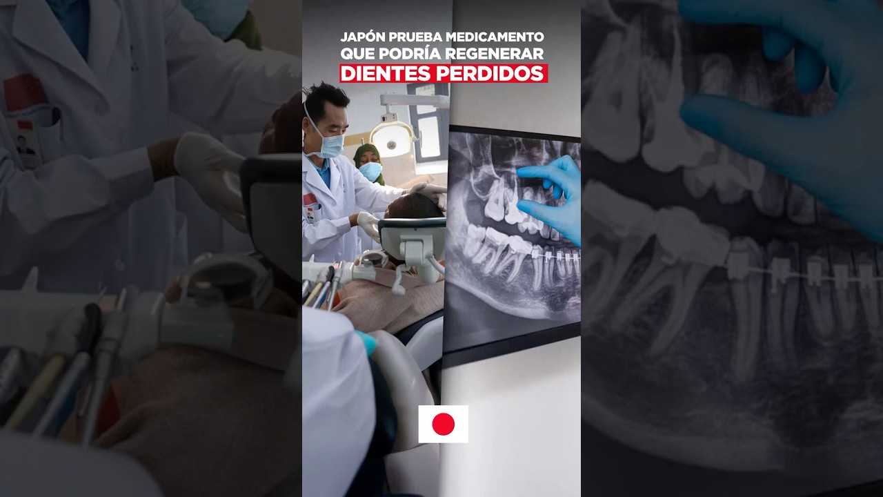 Jap&oacute;n prueba medicamento que podr&iacute;a regenerar dientes perdidos