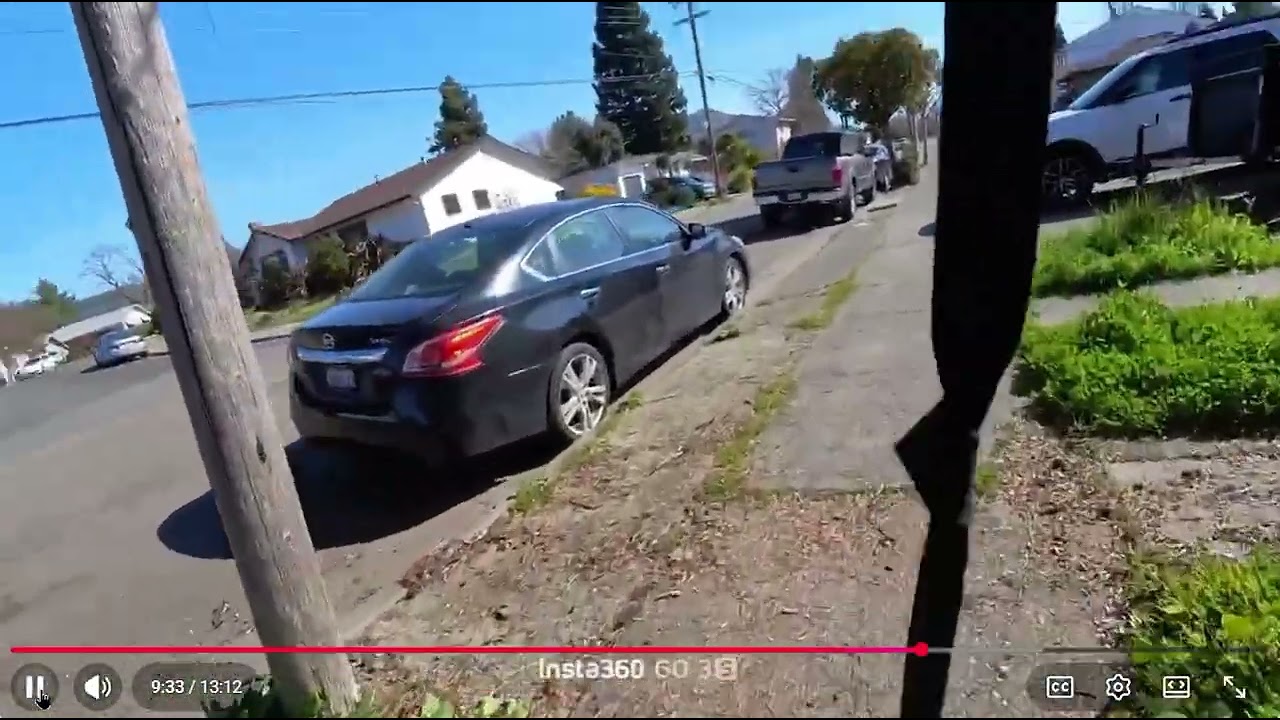 Henry 2 #135 Dog Transported by Car Trail