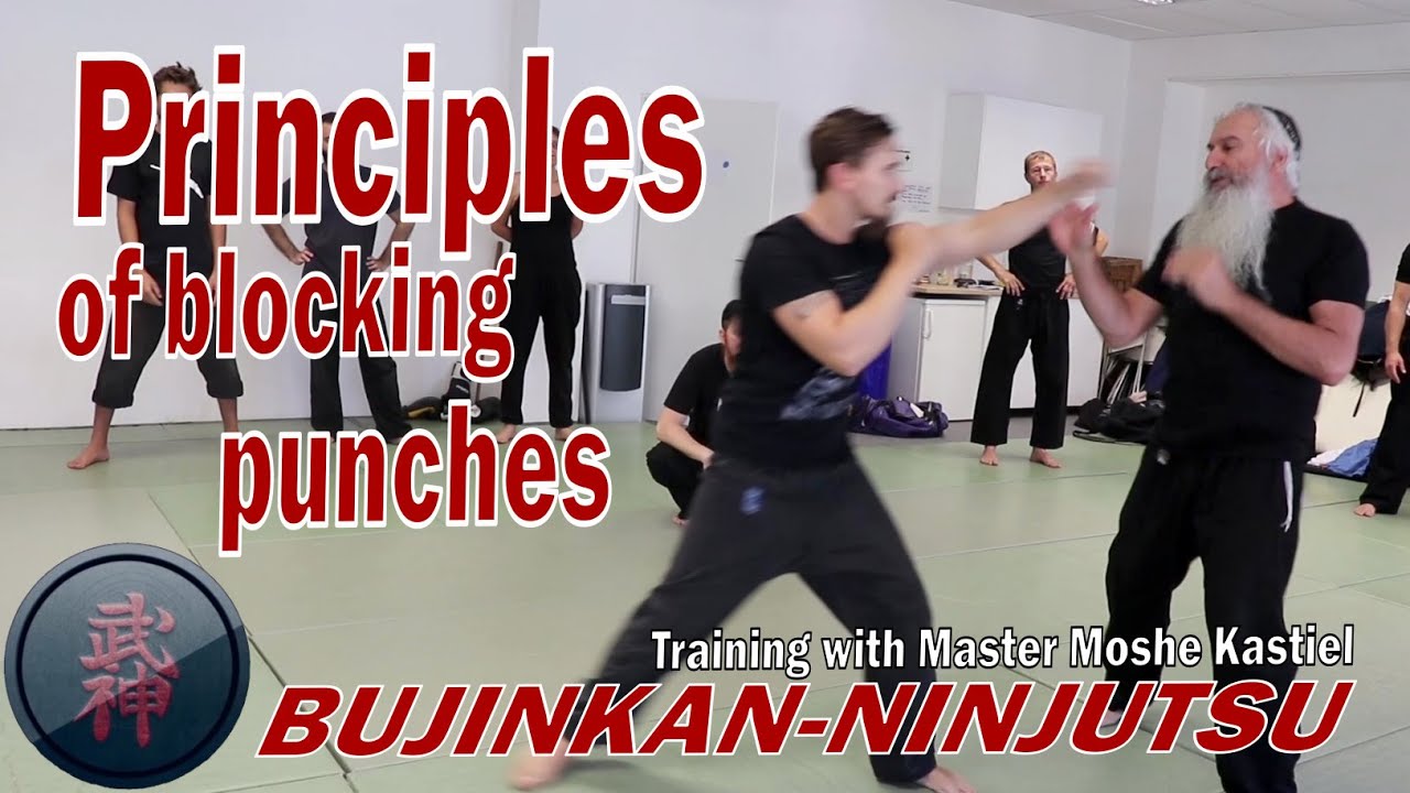 Bujinkan-Ninjutsu: Basic Thoughts about blocking punches