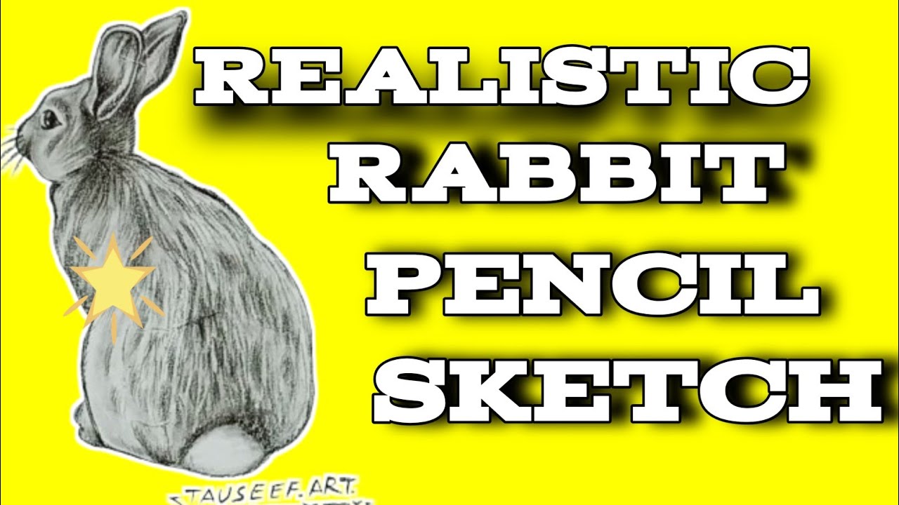 Realistic Rabbit Pencil Sketch Drawing 🐰 | Easy Animal Drawing Step by Step