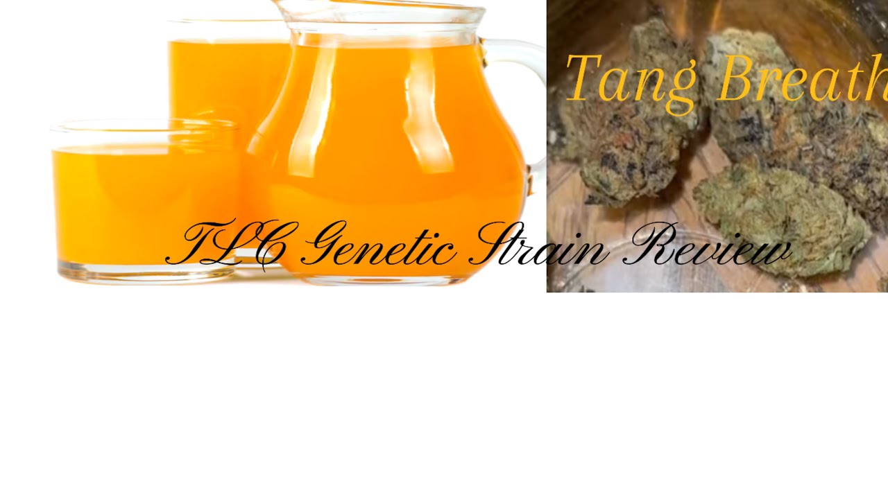 The TLC Genetic Show : Tang Breath (Strain Review)