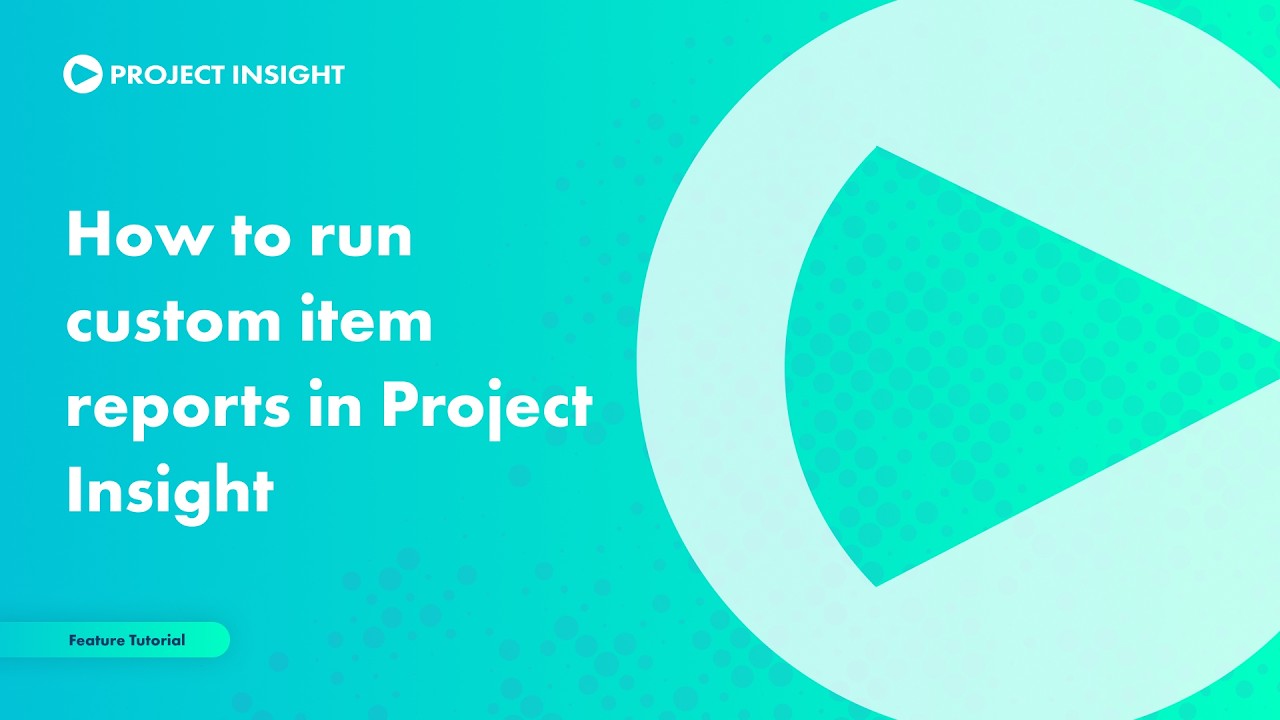 How to Run Custom Item Reports in Project Insight