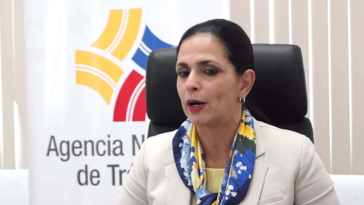 Licencias tipo B