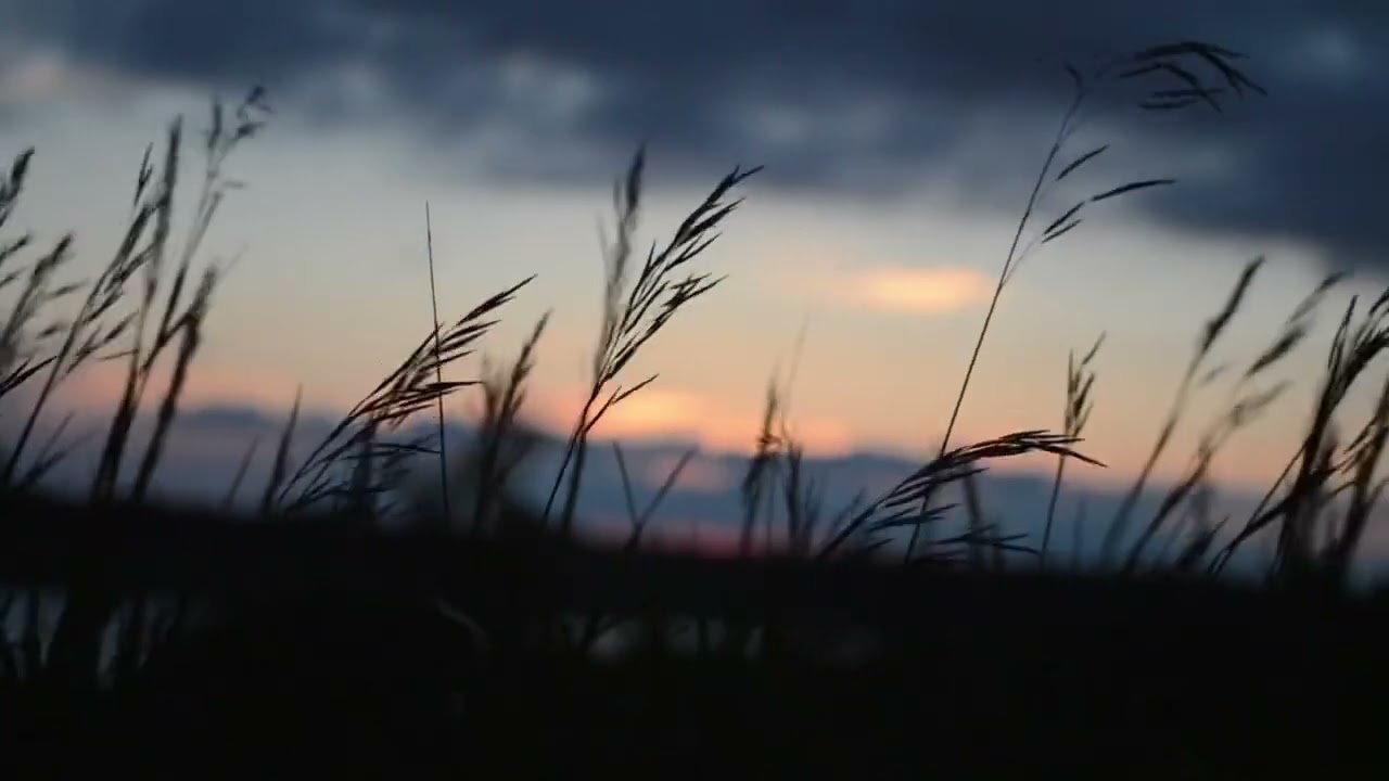 日常音樂｜沉澱 輕音樂/Light Music 省思 -鋼琴 小提琴
