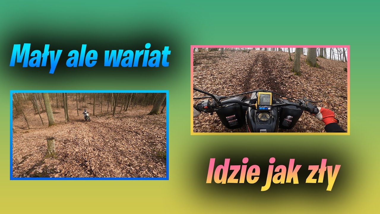 Upalanie maszyn  po lesie - Podjazdy w lesie//Bashan 200 Mrf 140rc/Quado asy