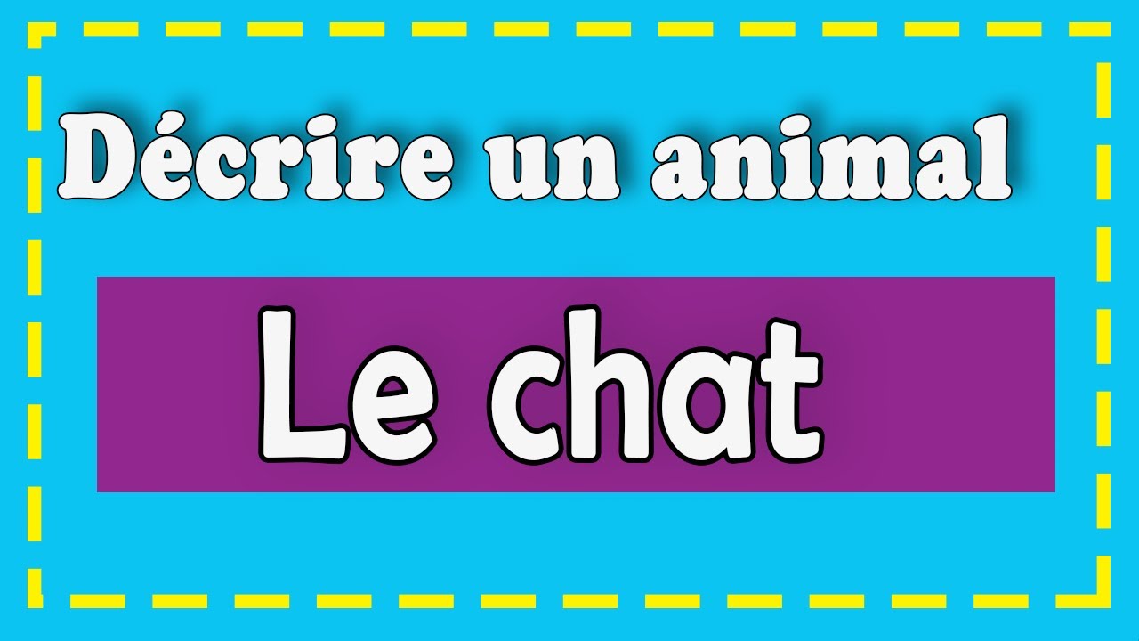 Décrire un animal en français :   décrire un  chat