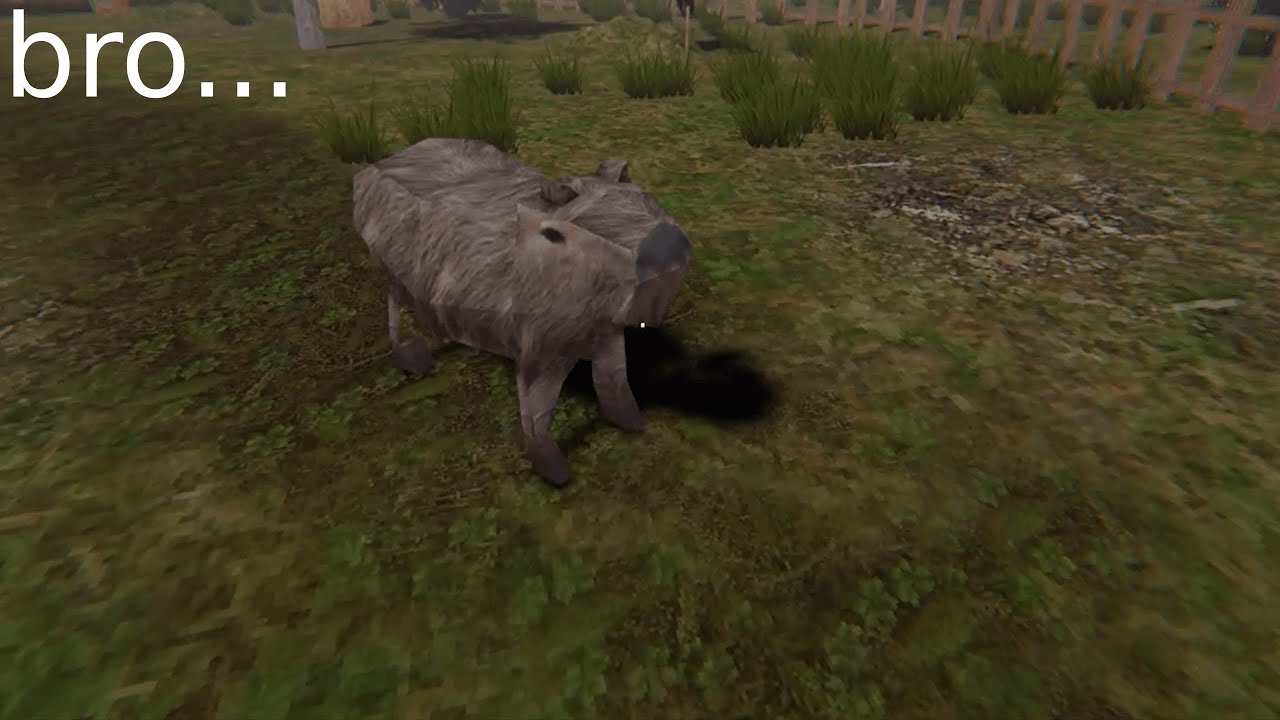 This capybara ate my entire family