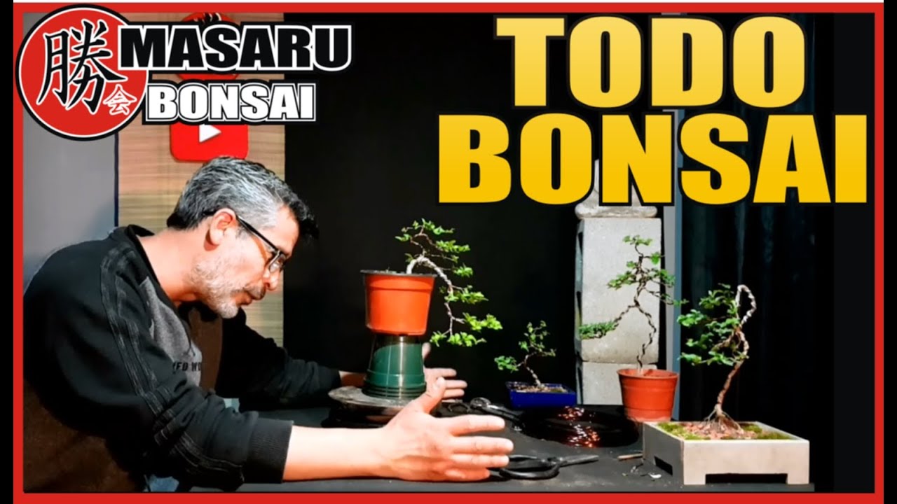 BONSAI / PODAS / TRASPLANTE/ DISEÑO Y MAS!!!!!!!