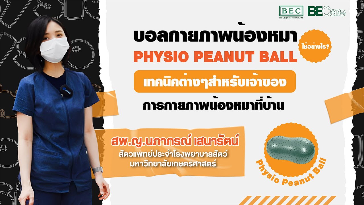 EP04 ลูกบอลกายภาพน้องหมา Physio Peanut Ball ใช้อย่างไร