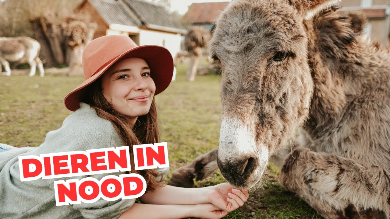 OCHTEND ROUTINE IN MIJN DIERENOPVANG | 120 DIEREN