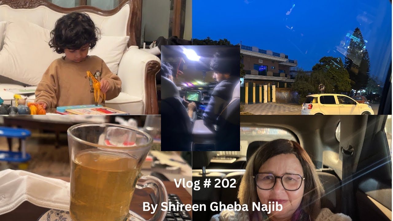Vlog # 202: Car's camera installation, Sajji & seasonal illness with Raja Gidh.