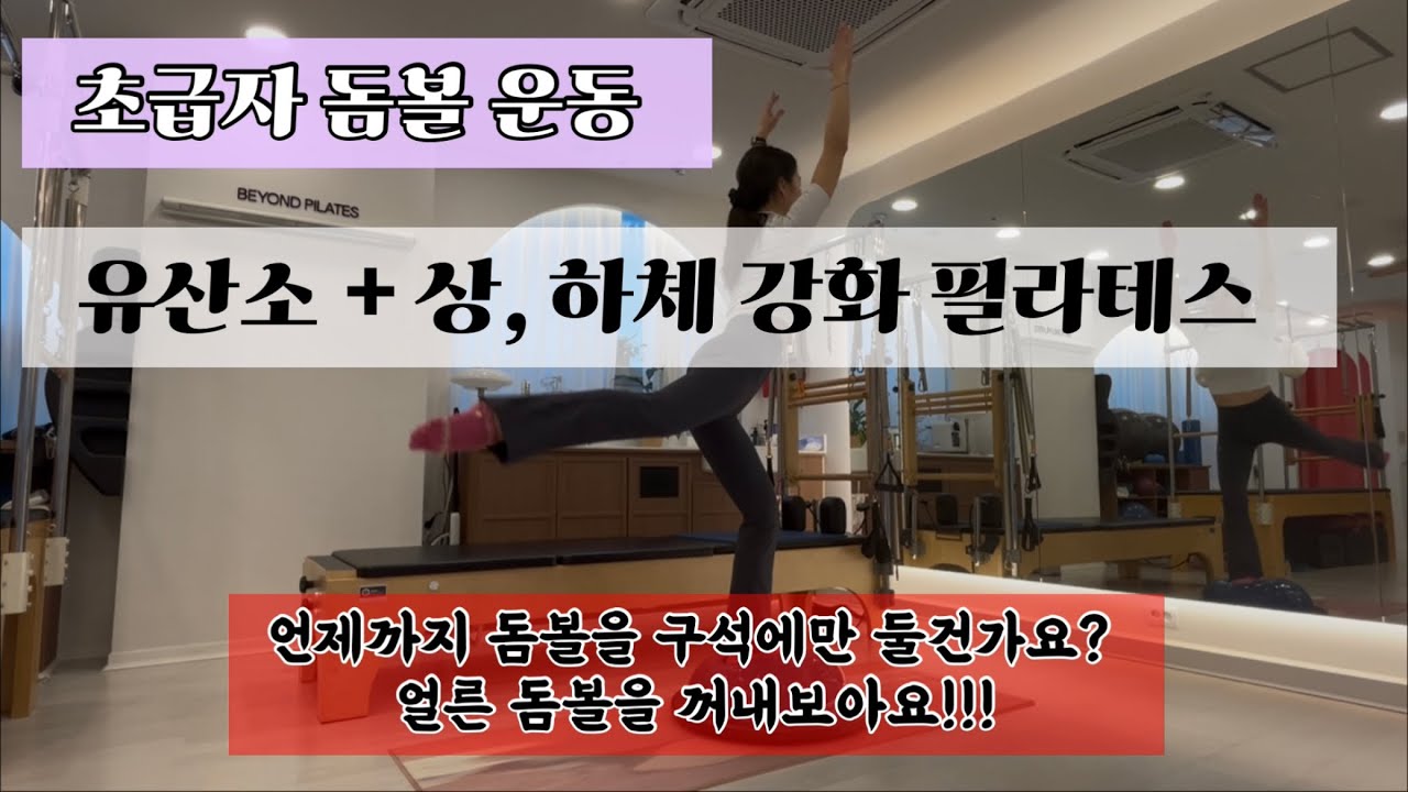 초급자 돔볼 운동 | 밸런스+유산소+근력 한번에 끝내기! 동작은 쉽지만 강도는 높습니다 😬