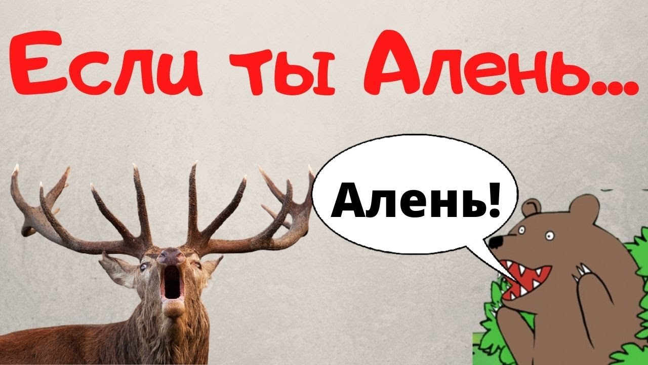 Что делать если ты АЛЕНЬ