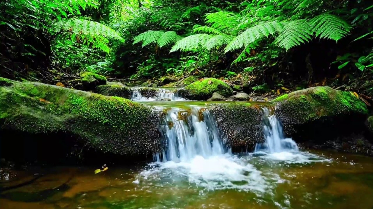 PURE RIVER FLOW SOUNDS FOR SLEEPING FAST, RELAXATION, STUDY AND INSOMNIA RELIEF | NATURE SOUND