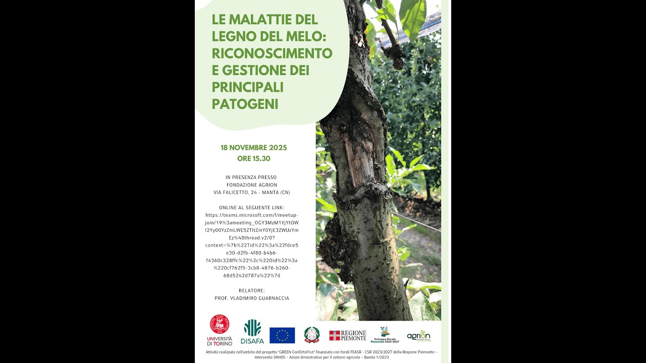 18.11.2025    Le malattie del legno del melo riconoscimento e gestione dei principali patogeni 20251