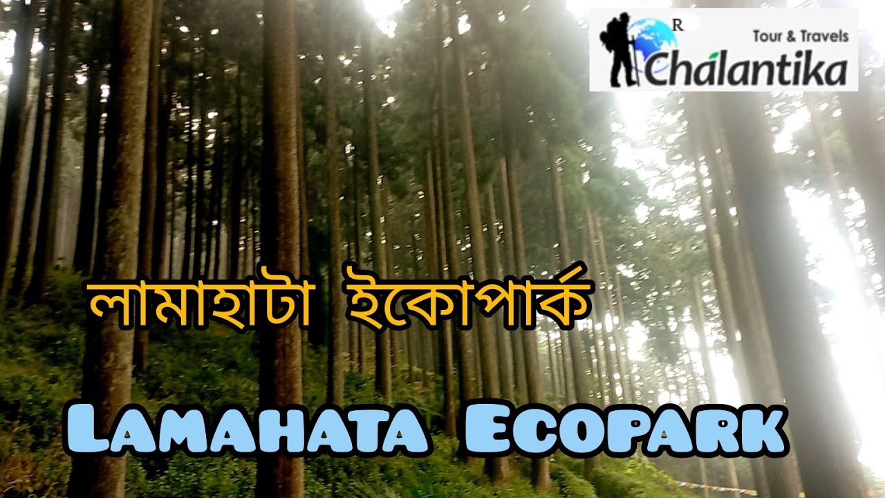 Lamahata Ecopark Darjeeling in North Bengal Chalantika Tour 9007078547/8910728801   chalantika.in