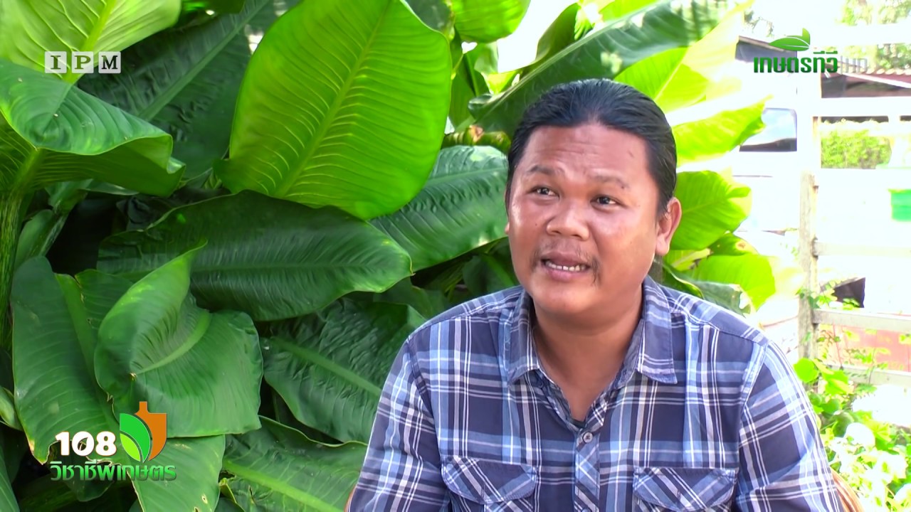 108 วิชาชีพเกษตร_EP.3 จิ้งหรีดฟาร์มวิทยา