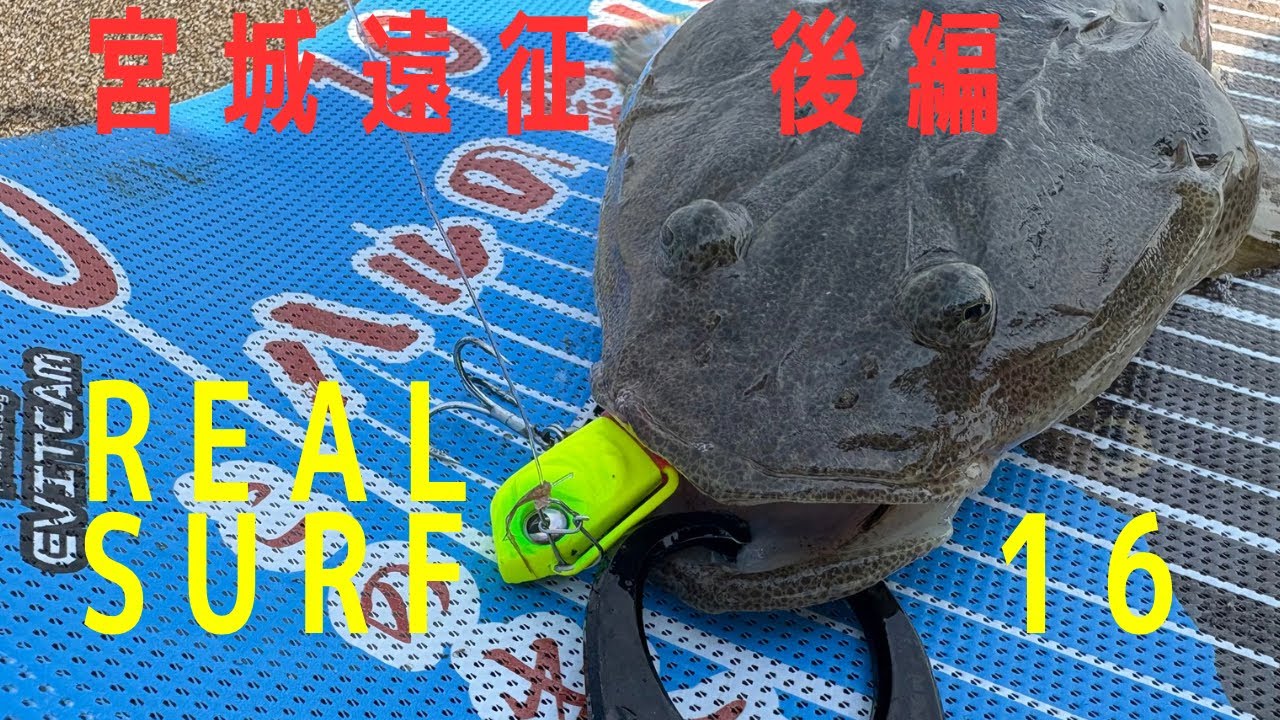 宮城遠征＜後編＞野蒜サーフでアタリ連発？！