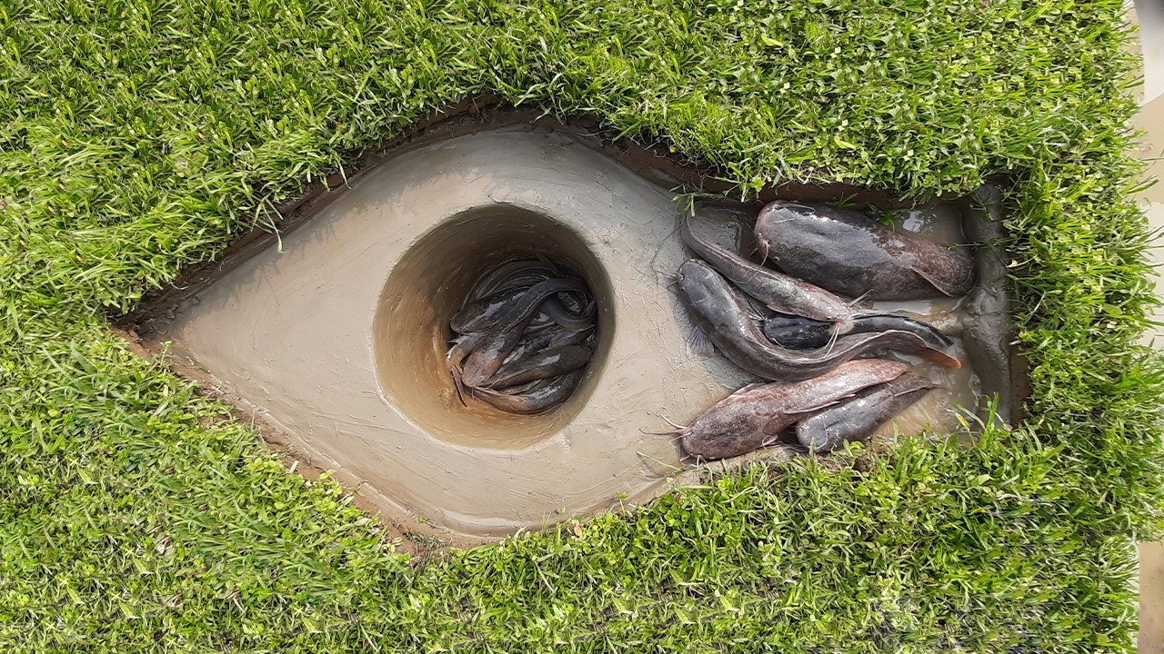 Build a fish trapping system that catches a lot of fishes.