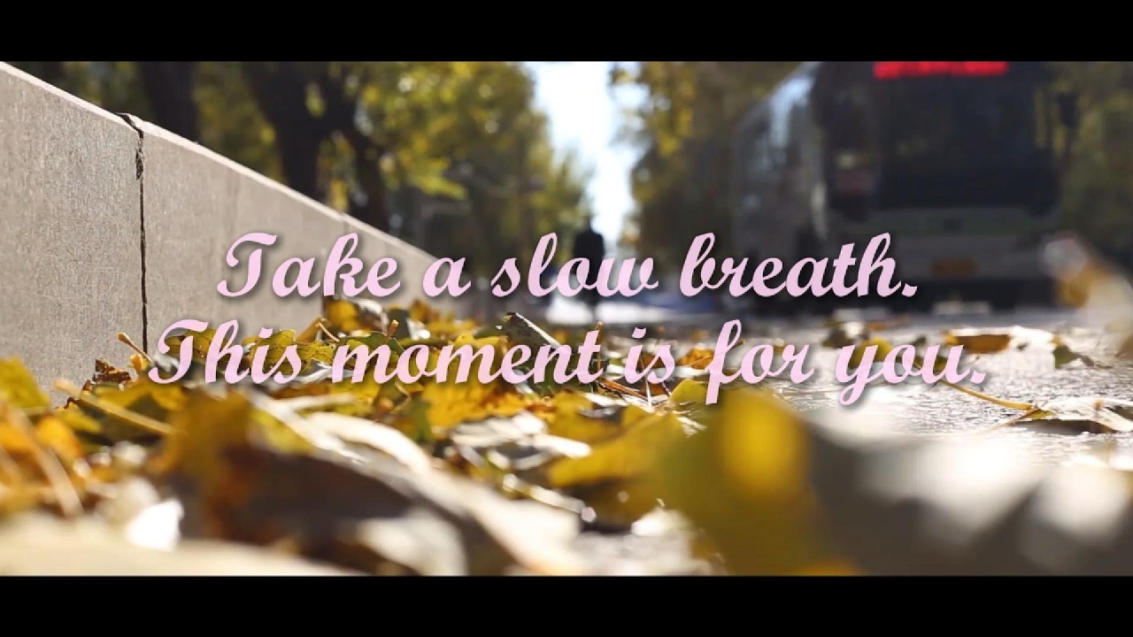 A Quiet Place for Your Mind | Calm Music & Peaceful Scenes