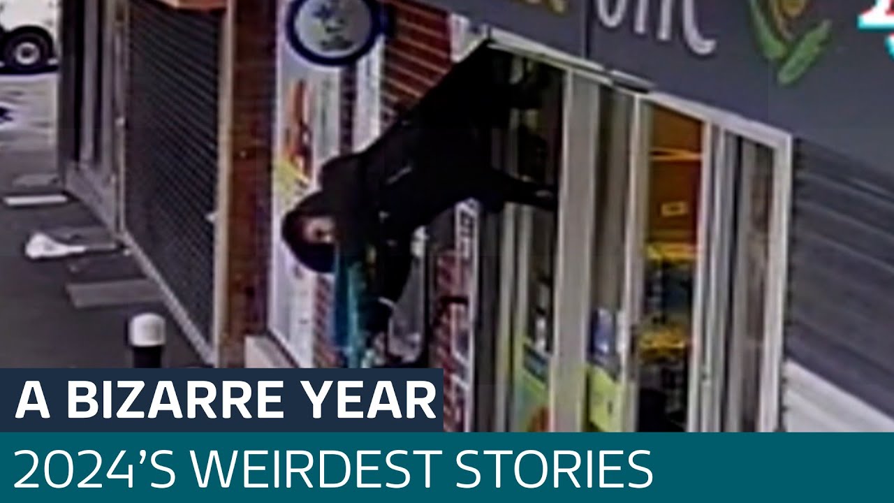 The most bizarre stories of 2024 