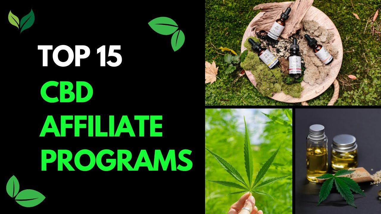 15 BEST CBD AFFILIATE PROGRAMS | Earn Up To 40% Commission! 💰