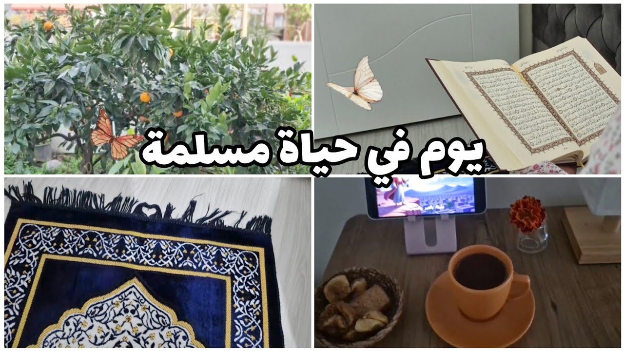 الاستيقاظ الساعة 5 صباحًا، يوم مثمر في حياتي  كمسلمة أجد السلام في صلاة الفجر واجعلها عادة🤍🌸