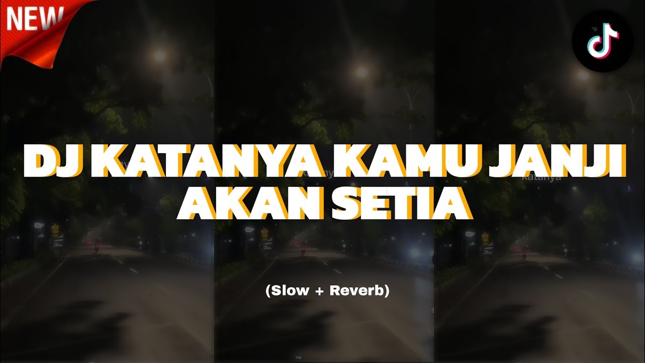 VIRALL TIKTOK! DJ KATANYA KAMU JANJI AKAN SETIA [DISITU TERKADANG SAYA MERASA SEDIH] (SLOW + REVERB)